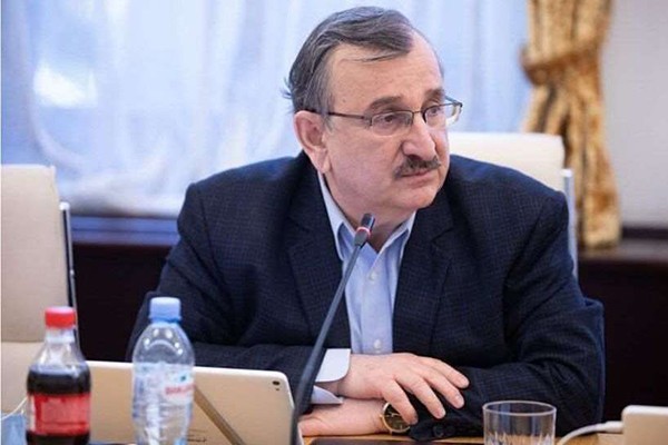 რომან გოცირიძე კარლ ჰარცელის განცხადებაზე: საყვედური ოპოზიციისკენ არ არის მომართული