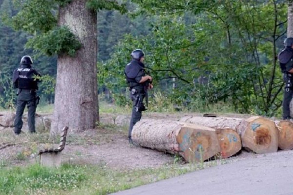 გერმანიის ტყეში პოლიცია მშვილდ-ისრით შეიარაღებულ კაცს ეძებს