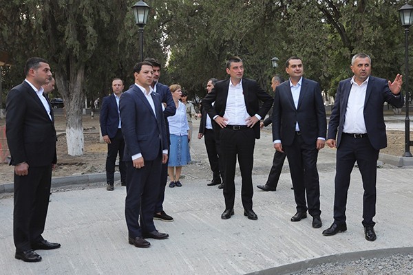 „ქართული ოცნების