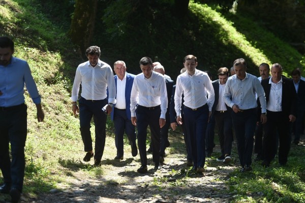 „ქართული ოცნების