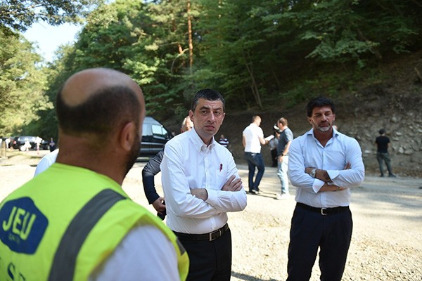 „ქართული ოცნების