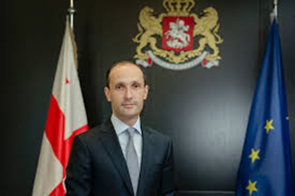 ლევან დავითაშვილი: „ქართული ოცნების“ ხელისუფლების პირობებში სოფლის  მეურნეობამაც უპრეცედენტო წინსვლა განიცადა