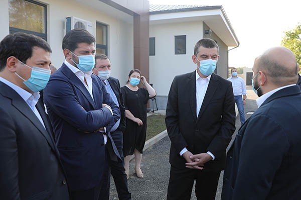 „ქართული ოცნების