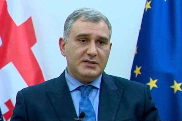 მიხეილ სარჯველაძე: არ მგონია ამნისტია დავით გარეჯის საქმეზე დაკავებულებს შეეხოთ