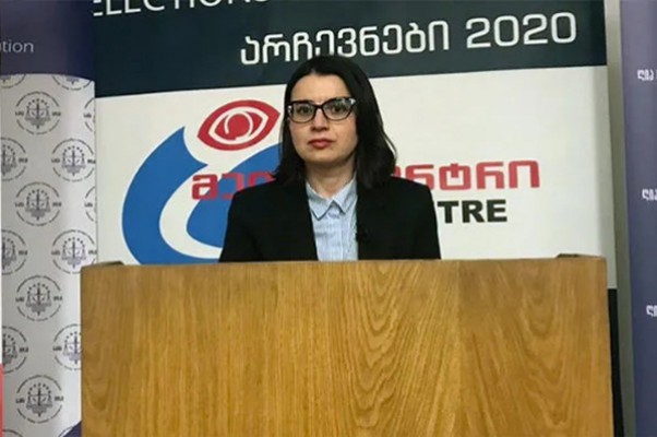 ელენე ნიჟარაძის განცხადებით, პარალელური დათვლებისას დაშვებული ხარვეზი არ იყო იმ მნიშვნელობის, რომ პოლიტიკური კრიზისი გამოეწვია და ეს შეფასება მმართველი გუნდისგან „გაზვიადებული იყო“