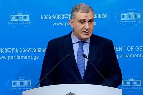 მიხეილ სარჯველაძე: საერთაშორისო მოწოდებები ყველაზე მეტად მიმართულია ოპოზიციის წარმომადგენლებისკენ, რომლებიც თვლიან, რომ უფლება აქვთ, სამართლისგან განსხვავებული მიდგომა მოითხოვონ