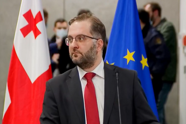 აკაკი მინაშვილი: ამნისტიას ხელისუფლება იყენებს იმისთვის, რომ ისტორია გადაწეროს