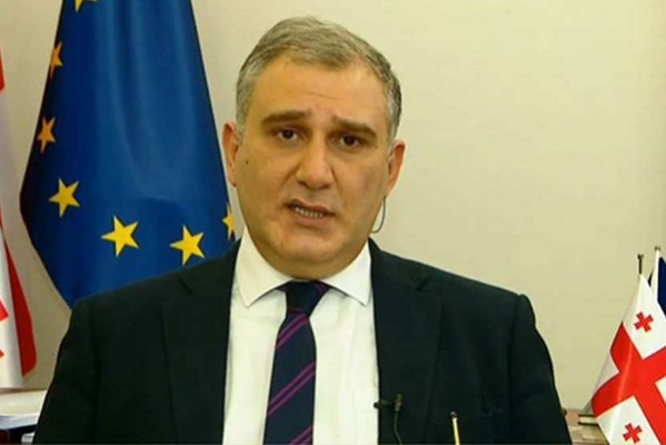 მიხეილ სარჯველაძე: ნიკა მელია რომ პოლიტპატიმარი ყოფილიყო, ევროპული ფონდი გირაოს არ გადაუხდიდა