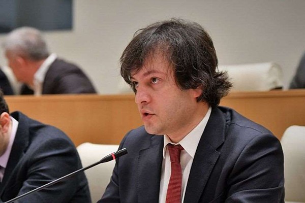 ირაკლი კობახიძე ამნისტიაზე: ოპოზიცია უპირისპირდება მელიას ნებას, ჩვენ ვმოქმედებთ მელიას ნების შესაბამისად