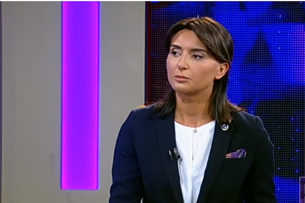 ნინო ლაცაბიძე დავით კირკიტაძეს: ექვსი შვილის დედა პარლამენტში ექვსი საათი ალოდინეთ, თქვენი სამწუთიანი გამოსვლა უფრო  შთამბეჭდავი რომ ყოფილიყო