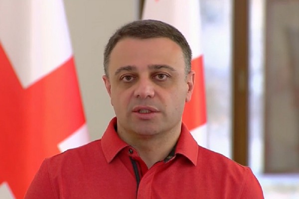 ალუდა ღუდუშაური არჩევნების შემსწავლელი საგამოძიებო კომისიის საქმიანობაზე: ეს იქნება უაღრესად გამჭვირვალე და ღია პროცესი