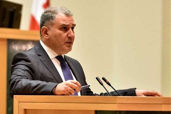 მიხეილ სარჯველაძე: არაერთია ისეთი ოპოზიციური ძალა, რომელსაც მხოლოდ მიღწეული შედეგით ექმნება დამოკიდებულება, მიუხედავად იმისა რა გააკეთე და როგორი იყო პროცესი