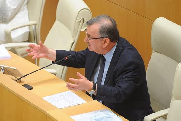 რომან გოცირიძე:  ეს მოსამართლეები არიან შთამომავლები ძველი „კლანის“ და სისტემა ინკუბატორებივით ჩეკავს თავის მსგავსს - ისინი პარლამენტში ცხვირს ვერ შემოყოფენ