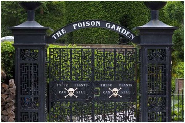 ბრიტანეთში ტურისტებს „მკვლელი ბაღი“ შეუყვარდათ
