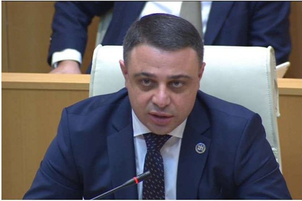 ალუდა ღუდუშაური: რაც მიგვაჩნია, რომ ჩვენი ქვეყნის მოსახლეობისთვის, ქვეყნის სტრატეგიული განვითარებისთვის მნიშვნელოვანი და კარგია, იმ რეფორმებს აუცილებლად შევასრულებთ