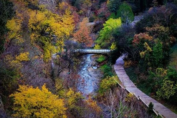 როგორი ამინდია მოსალოდნელი დღეს საქართველოში
