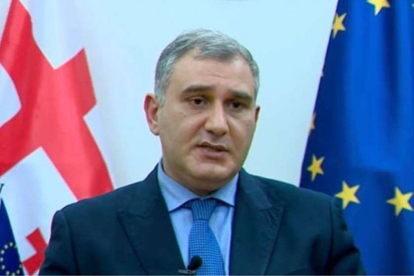 მიხეილ სარჯველაძე: თუ სპეციალისტები ამბობენ, რომ სააკაშვილს მკურნალობა ესაჭიროება, ეს ავტომატურად არ ნიშნავს, რომ ის გორში უნდა დარჩეს