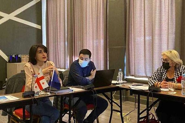 ევროპასთან ინტეგრაციის კომიტეტმა 2022 წლის სამოქმედო გეგმაზე იმსჯელა