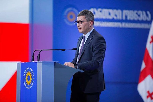 მამუკა მდინარაძე: „ნაცმოძრაობა“ და მისი კლასტერი უარს ამბობენ იმ პროცესში მონაწილეობაზე, რომელიც მიმართულია სახალხო დამცველის არჩევის წესთან დაკავშირებული რეკომენდაციის შესრულებისკენ