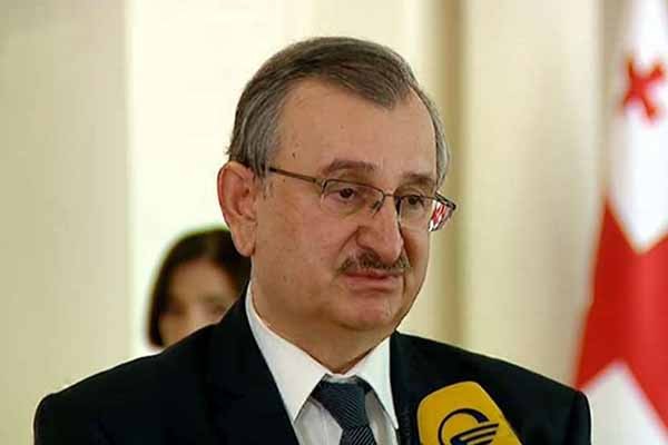 რომან გოცირიძე: ომბუდსმენის შერჩევის პროცესში ჩავერთვებით მაშინ, როდესაც დავინახავთ, რამდენად რეალურია, მივიღოთ ისეთივე დამოუკიდებელი სახალხო დამცველი, როგორიც იყო დღემდე