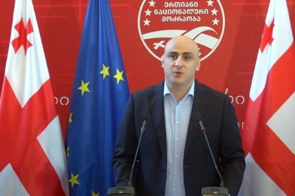 ნიკა მელია: ჩვენი თანამებრძოლების ნაწილის რიტორიკა აგრესიული მომეჩვენა