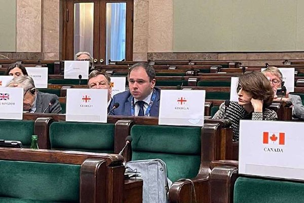 ნიკოლოზ სამხარაძე: რუსეთის ფედერაციას ოკუპირებულ რეგიონებში დამყარებული აქვს აპართეიდის რეჟიმი, სადაც ეთნიკური ნიშნით ქართველების დისკრიმინაცია გრძელდება