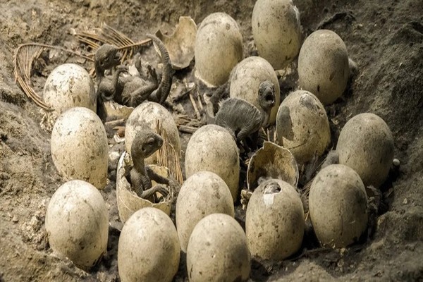 პალეონტოლოგებმა ინდოეთში დინოზავრთა ასობით კვერცხი აღმოაჩინეს