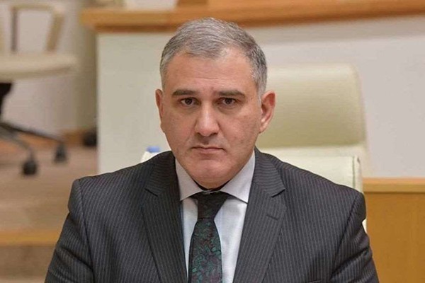 მიხეილ სარჯველაძე: ზელენსკიმ რაც განაცხადა, რბილად რომ  ვთქვათ, არ არის სწორი და მართებული შეფასება