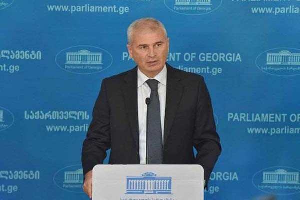 ირაკლი ქადაგიშვილი ნინო ლომჯარიაზე: უფრო და უფრო აქტიური გახდება როგორც პოლიტიკოსი