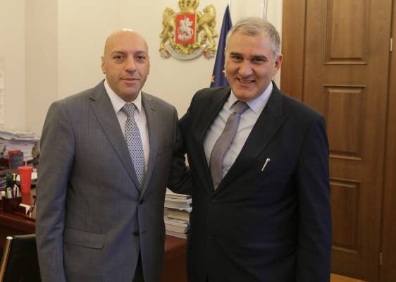 მიხეილ სარჯველაძემ საქართველოში გაეროს ბავშვთა ფონდის (UNICEF) წარმომადგენელთან გამოსამშვიდობებელი შეხვედრა გამართა