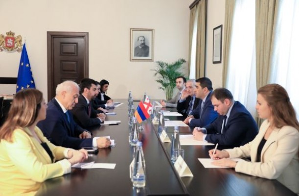 შალვა პაპუაშვილი სომხეთის ეროვნული ასამბლეის საგარეო ურთიერთობათა კომიტეტის წევრებს შეხვდა