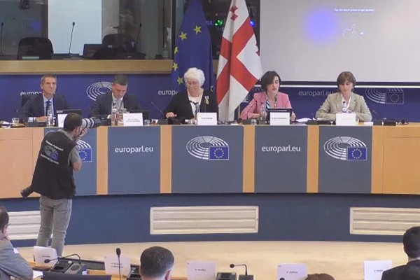 მაკა ბოჭორიშვილი: ძნელია ევროპარლამენტის მიერ მიღებული სამი რეზოლუციის უგულებელყოფა, რომელმაც ხელი შეუწყო საქართველოზე მცდარი წარმოდგენების შექმნას - ველით, რომ ევროკავშირი სამართლიანი შეფასებების საფუძველზე წელს სტატუსს მოგვანიჭებს