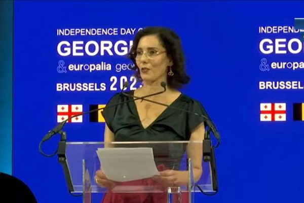 ჰაჯა ლაჰიბი: ბელგია მხარს უჭერს საქართველოს ევროპულ მისწრაფებებს ჩვენ შესაბამისად ვიმოქმედებთ