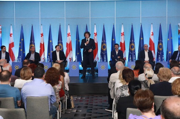 „ქართული ოცნების“ თბილისის პარტიული კონფერენციები დასრულდა