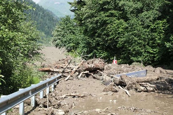 ნინო თანდილაშვილი: თამამად მინდა განვაცხადო, რომ ხეობაში ადგილი ჰქონდა ძალიან მყისიერი ბუნებრივი მოვლენის განვითარებას, რამაც საბოლოო ჯამში ასეთი მასშტაბის სტიქია გამოიწვია, რომლის წინასწარ პროგნოზირება შეუძლებელი იყო