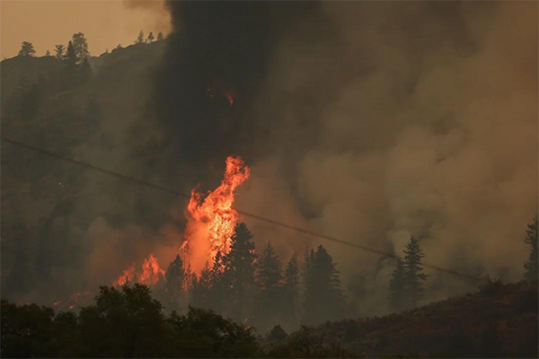 კანადაში ტყის ხანძრის ჩაქრობას თითქმის ერთი კვირაა ცდილობენ