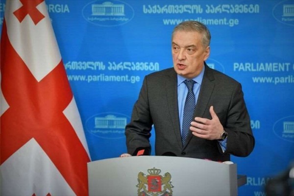 გიორგი ვოლსკი: რასაკვირველია, სტრასბურგის სასამართლო დაადასტურებდა, რომ ნიკა მელია არის დამნაშავე, მისჯილი ჰქონდა და უნდა დაეკავებინათ