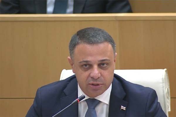 ალუდა ღუდუშაური ხატია დეკანოიძეს: 80-ვე დეპუტატი დავიგინებით, რომ, დიახ, თქვენ აკეთებდით რუსულ საქმეს!