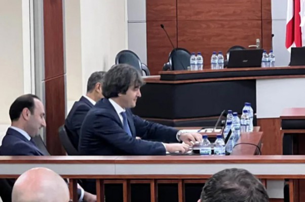 საკონსტიტუციო სასამართლოში ირაკლი კობახიძემ მაია კოპალეიშვილის პოზიციას „პოლიტიკური დემაგოგია“ უწოდა, რის გამოც პრეზიდენტის წარმომადგენელმა მას ემოციების მოთოკვისკენ მოუწოდა და მიმართა, რომ „ქარაგმებით საუბარს“ არ მოითმენს