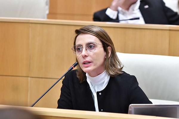 ხატია დეკანოიძე: საქართველოს პრეზიდენტის იმპიჩმენტს ჩვენ მხარს არ ვუჭერთ