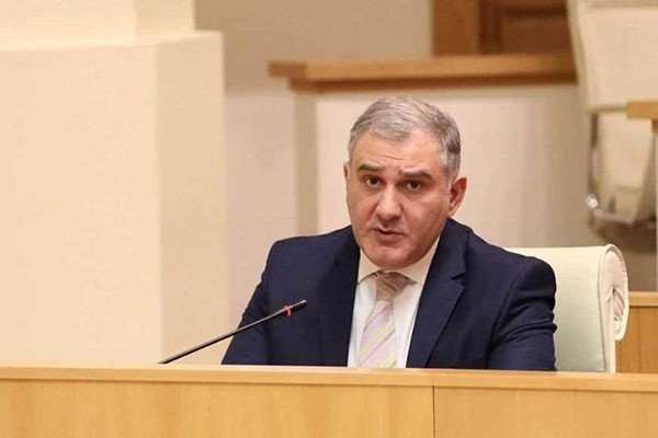 მიხეილ სარჯველაძე: სიტყვაც ისეთი იყო, რომ უფრო მეტად ალბათ გულის აჩუყების მიზანი ამოძრავებდა პრეზიდენტს, ვიდრე კონკრეტულად საკითხის გარკვევაში მონაწილეობა და ამ კუთხით დისკუსიისთვის რაიმეს შემატება