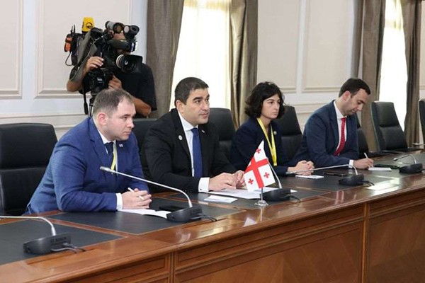 შალვა პაპუაშვილი ლესოტოს სამეფოს სენატის პრეზიდენტს შეხვდა