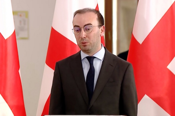 დავით ხაჯიშვილი: ხელისუფლება ყველაფერს აკეთებს, რომ ჩვენმა ქვეყანამ კანდიდატის სტატუსი არ მიიღოს