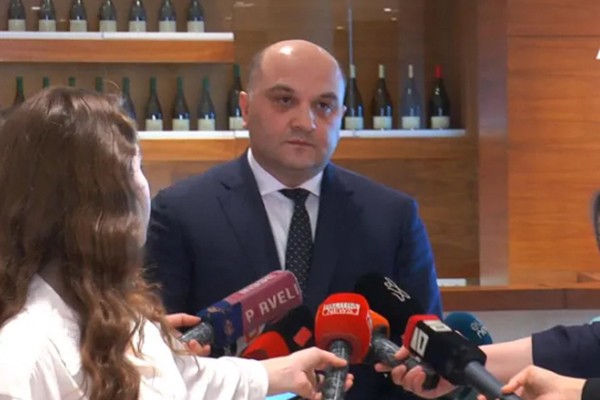 შს მინისტრის მოადგილე „ნაციონალური მოძრაობის“ კონსულტანტზე: საქართველოს საზღვარს ყოველდღიურად ათასობით ადამიანი კვეთს და ყველას პირადი საქმე ვერ მეცოდინება - პირს უფლება აქვს, პატრულის თუ ინსპექტორის გადაწყვეტილება გაასაჩივროს