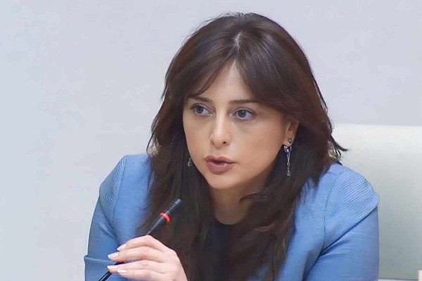 მაია ბითაძე: ქვეყნის დაზიანების აქტიურმა კამპანიამ, რასაც რადიკალური ოპოზიცია სამი წლის განმავლობაში ახორციელებს,  საბოლოოდ ძირი გამოუთხარა სწორედ რადიკალურ ოპოზიციას