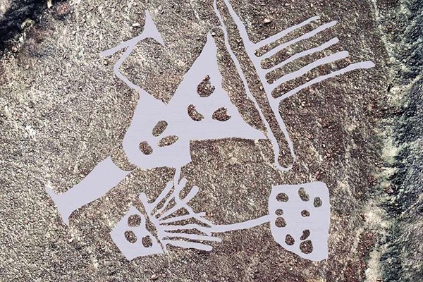 პერუში არქეოლოგებმა კატის ფორმის გეოგლიფი იპოვეს