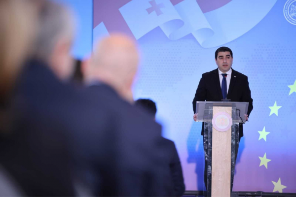 შალვა პაპუაშვილი: ჩვენ ყველაფერი უნდა გავაკეთოთ ოკუპაციის დასრულების და საქართველოს ტერიტორიული მთლიანობის აღდგენისთვის - ეს არის საქართველოს ხელისუფლების უმთავრესი საზრუნავი