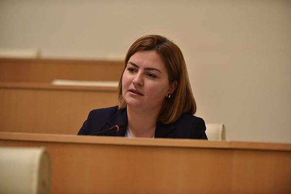 ანა ნაცვლიშვილი: არითმეტიკა და დათვლა არსად მიგვიყვანს, ეს ფუჭი საუბარია - მთავარი ამოცანაა, რომ 2024 არჩევნებზე შეიცვალოს ხელისუფლება
