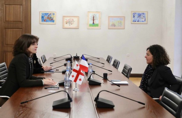მაკა ბოჭორიშვილი საფრანგეთის ელჩს, შერაზ გასრის შეხვდა.