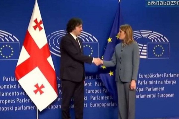 ირაკლი კობახიძე რობერტა მეცოლას ხვდება